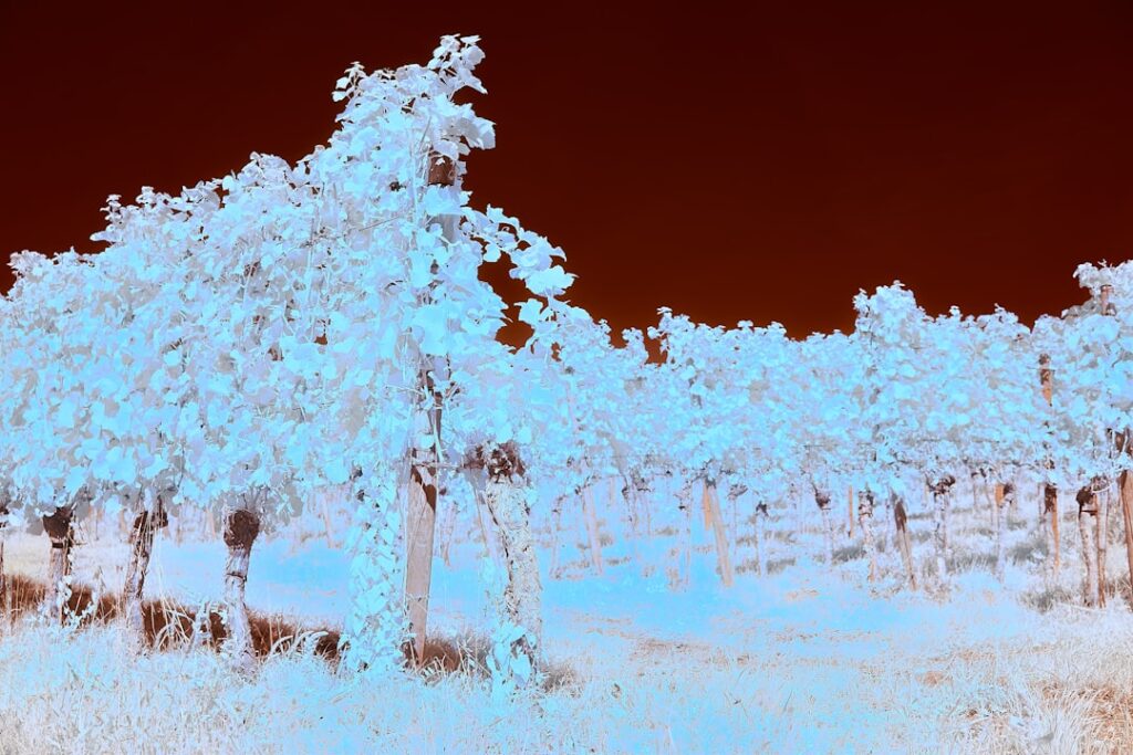Warm en comfortabel wonen met infrarood verwarming in de woonkamer