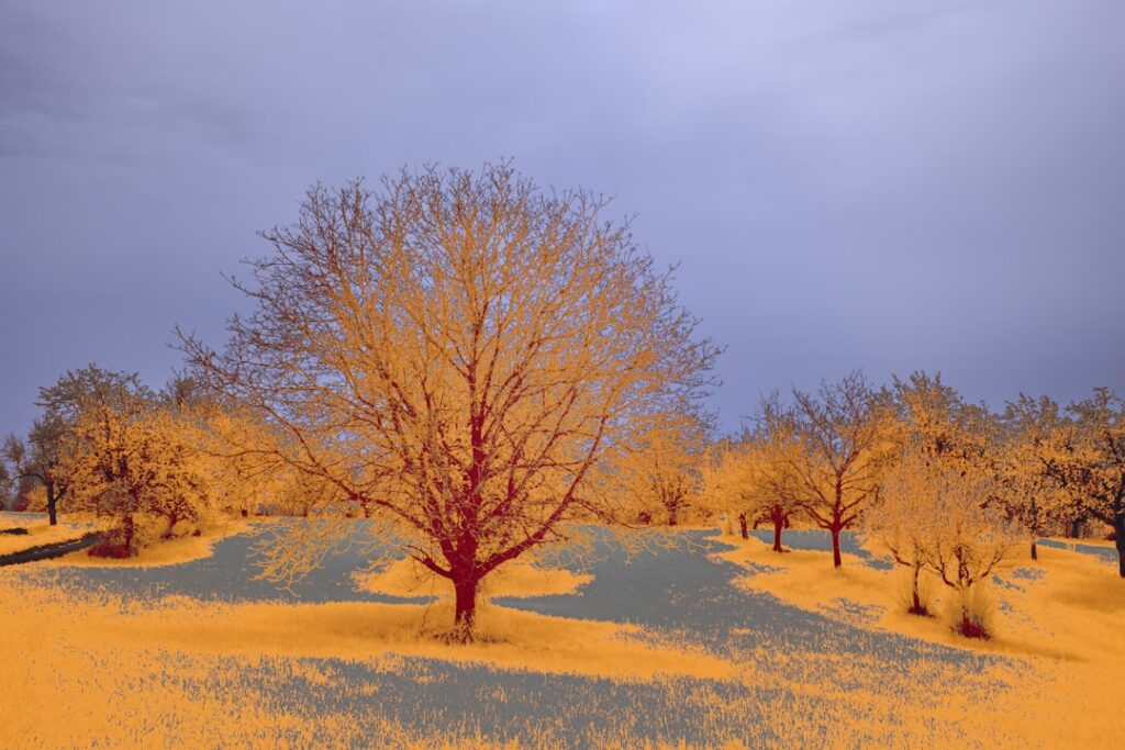 Breng sfeer en ruimte in huis met warme lichte kleuren in de woonkamer