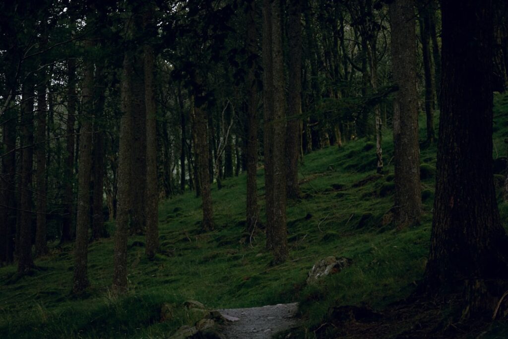 Het bijzondere thuis van hobbits in Midden-Aarde