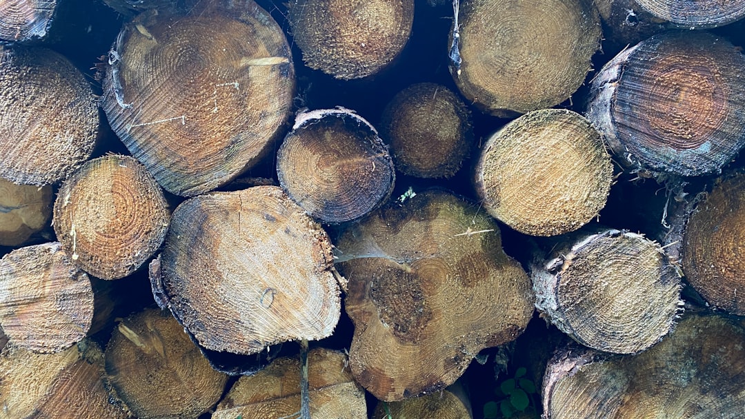 Muurverf op hout: zo werkt het en dit moet je weten